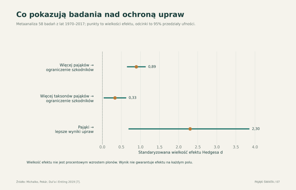 Metaanaliza wpływu pająków na szkodniki i uprawy