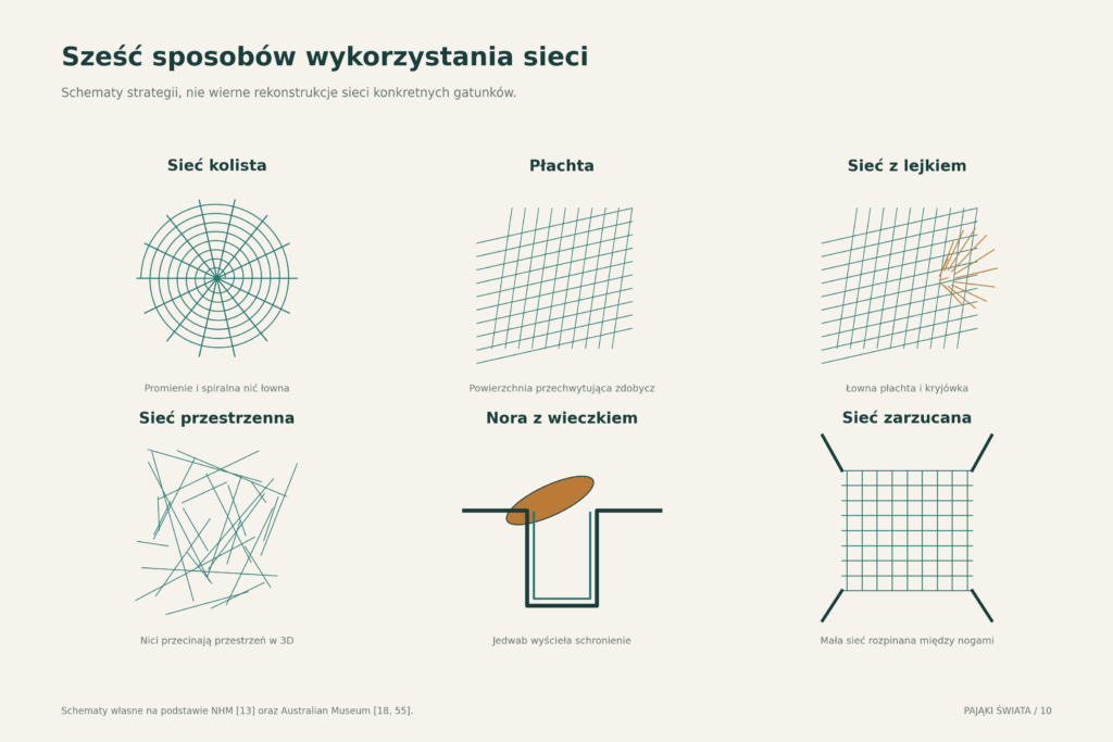 Schematyczne typy konstrukcji łownych i schronień