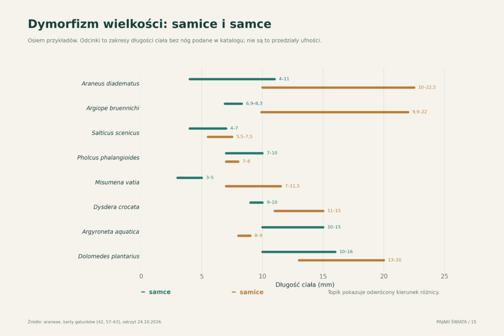 Zakresy długości ciała ośmiu gatunków z rozdzieleniem samców i samic; odcinki przedstawiają zakresy katalogowe, nie przedziały ufności