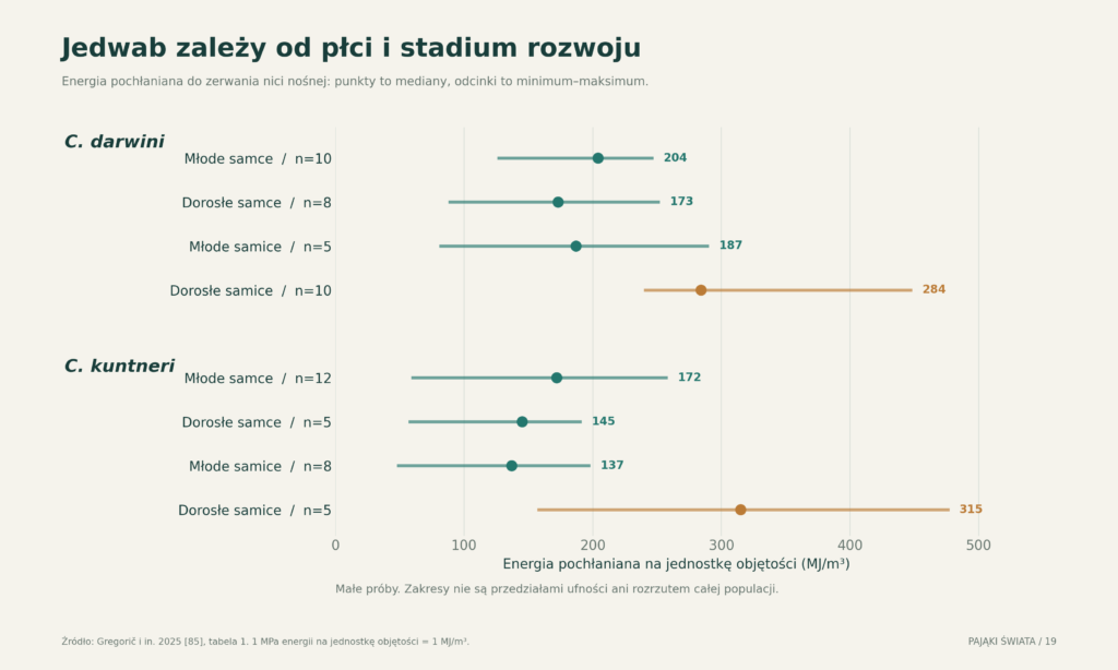 Właściwości jedwabiu dwóch gatunków Caerostris: mediany energii pochłanianej do zerwania oraz zakresy minimum–maksimum, z podaniem liczebności prób