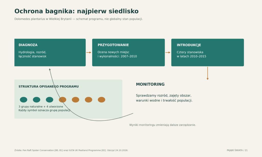 Brytyjski program ochrony bagnika: związek między hydrologią, przygotowaniem stanowisk, introdukcjami i monitoringiem; rozróżnienie populacji naturalnych i utworzonych
