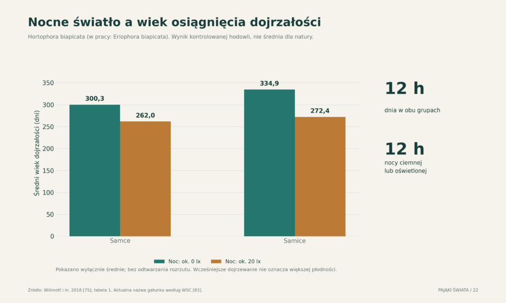 Średni wiek dojrzałości w eksperymencie z nocnym oświetleniem; dane dla samic i samców z tabeli 1 pracy Willmotta i współautorów