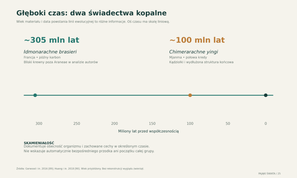 Dwa datowane przykłady kopalnych krewnych pająków na osi czasu; punkty oznaczają wiek materiału, a nie moment powstania linii