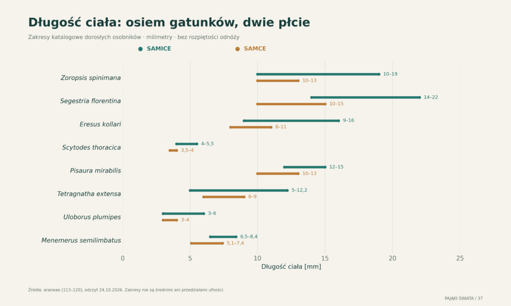 Długość ciała dorosłych osobników ośmiu gatunków: osobno zakresy samic i samców; bez rozpiętości odnóży