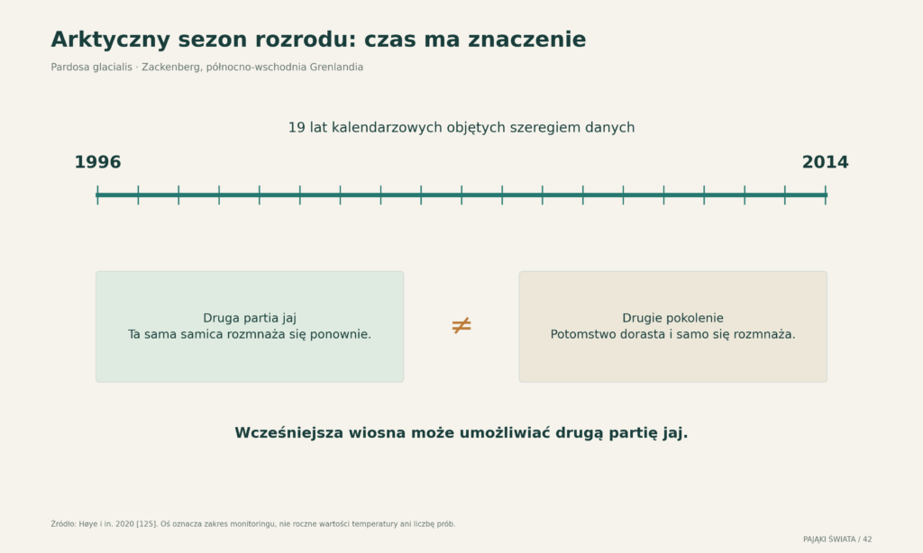 Zackenberg 1996–2014: zakres czasowy monitoringu oraz różnica między drugą partią jaj i drugim pokoleniem; schemat bez odtwarzania nieudostępnionych wartości rocznych