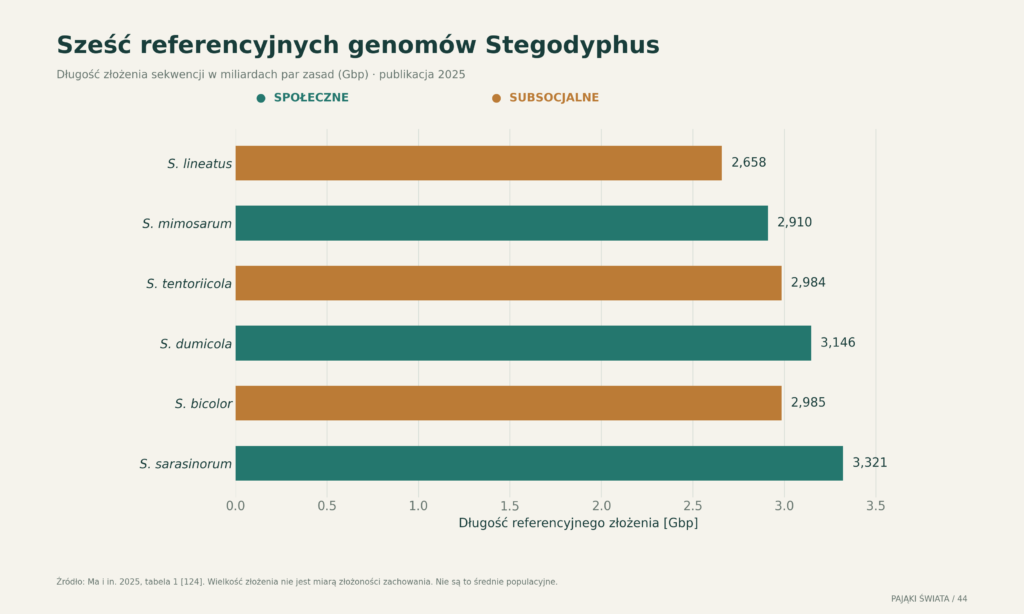 Długości sześciu referencyjnych złożeń genomu Stegodyphus opublikowanych w 2025 roku; wielkość złożenia nie jest miarą złożoności zachowania