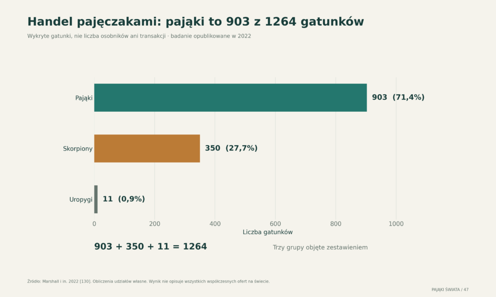 Skład 1264 gatunków pajęczaków wykrytych w analizie handlu z 2022 roku; pająki stanowią 903 gatunki